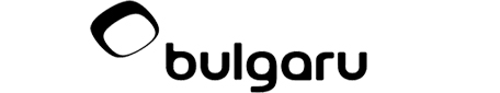 Bulgaru